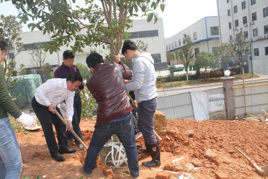 3118云顶集团(中国区)官方网站