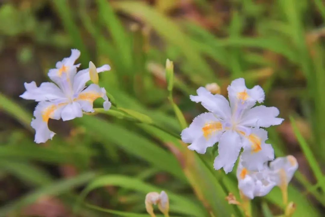 3118云顶集团(中国区)官方网站