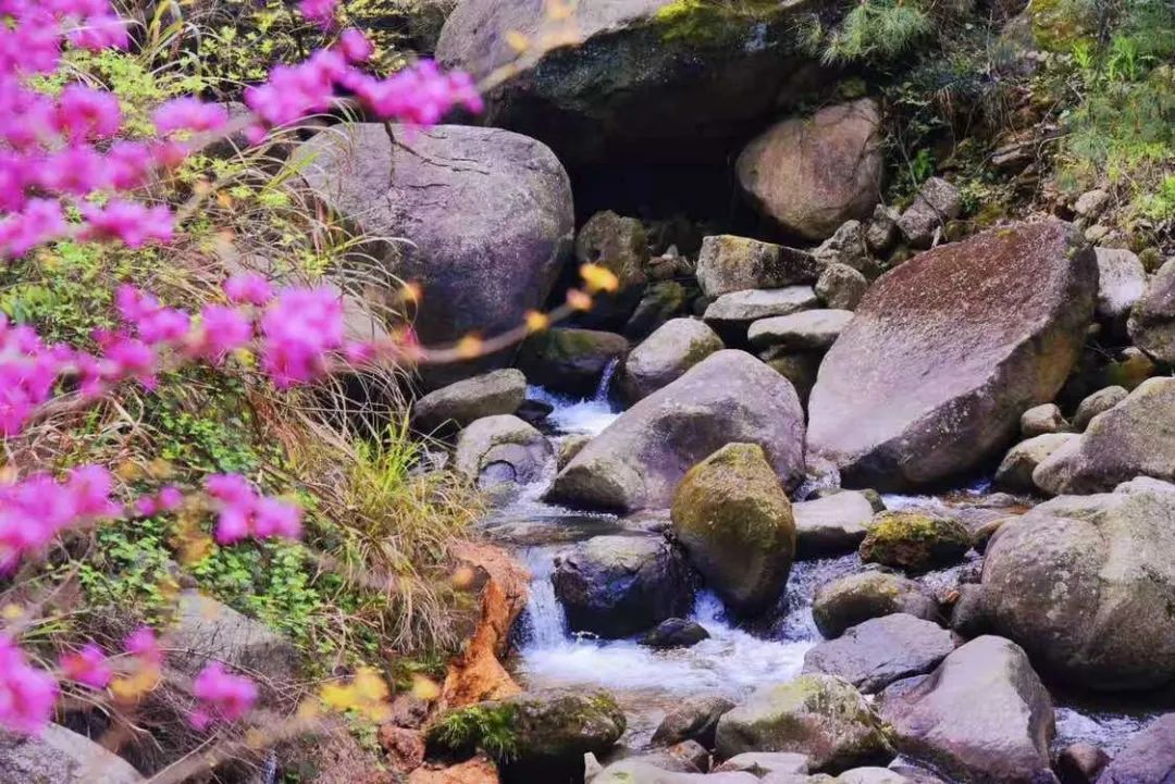 3118云顶集团(中国区)官方网站