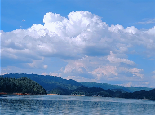 3118云顶集团(中国区)官方网站