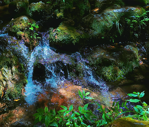 3118云顶集团(中国区)官方网站